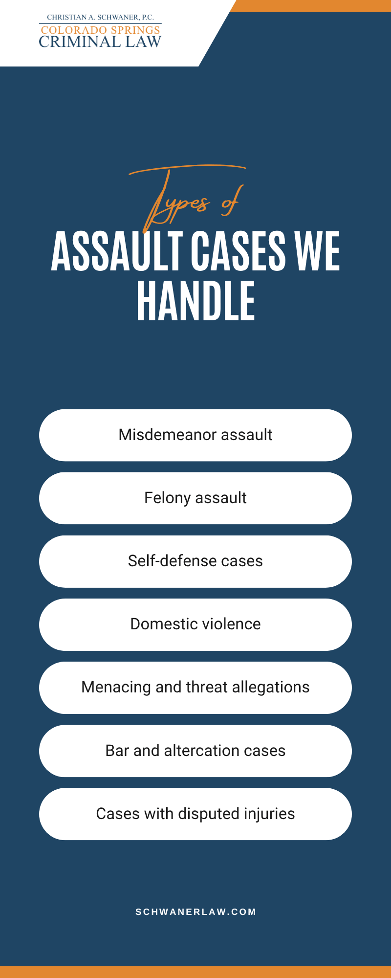 Assault Cases We Handle Infographic