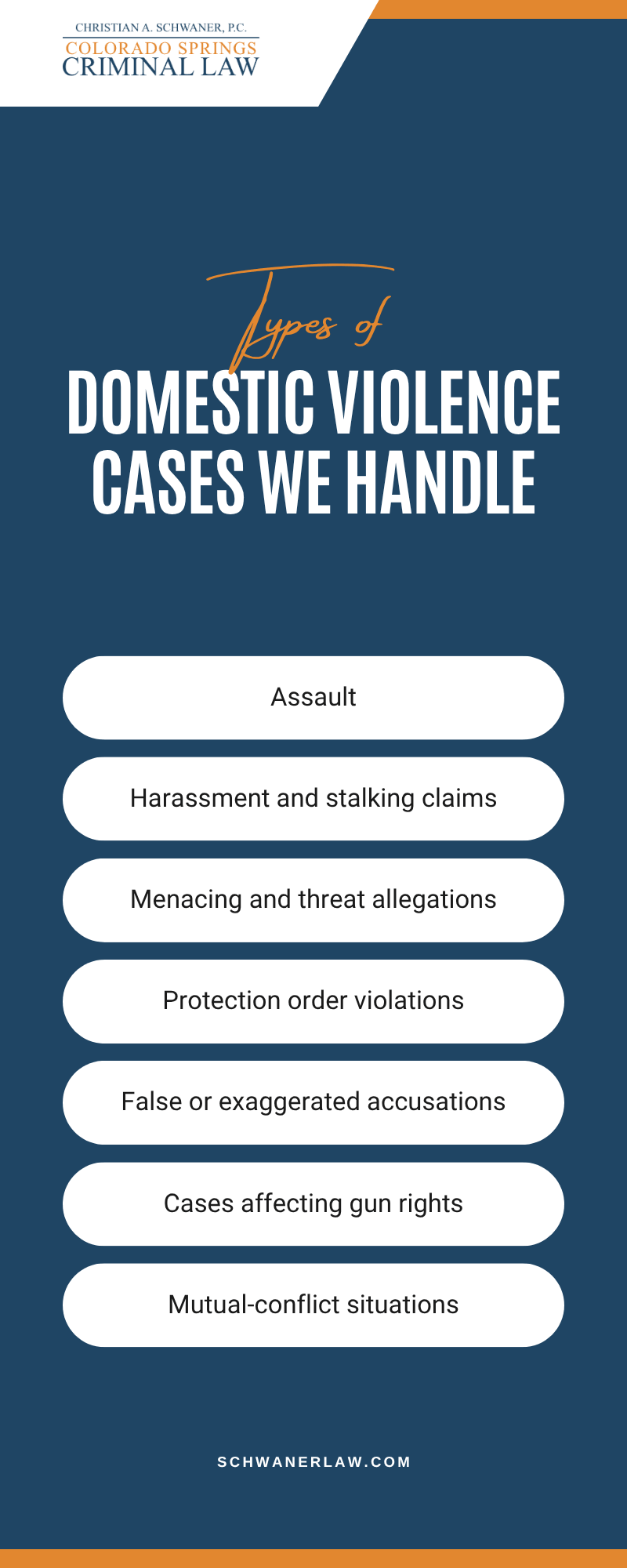Domestic Violence Cases We Handle Infographic